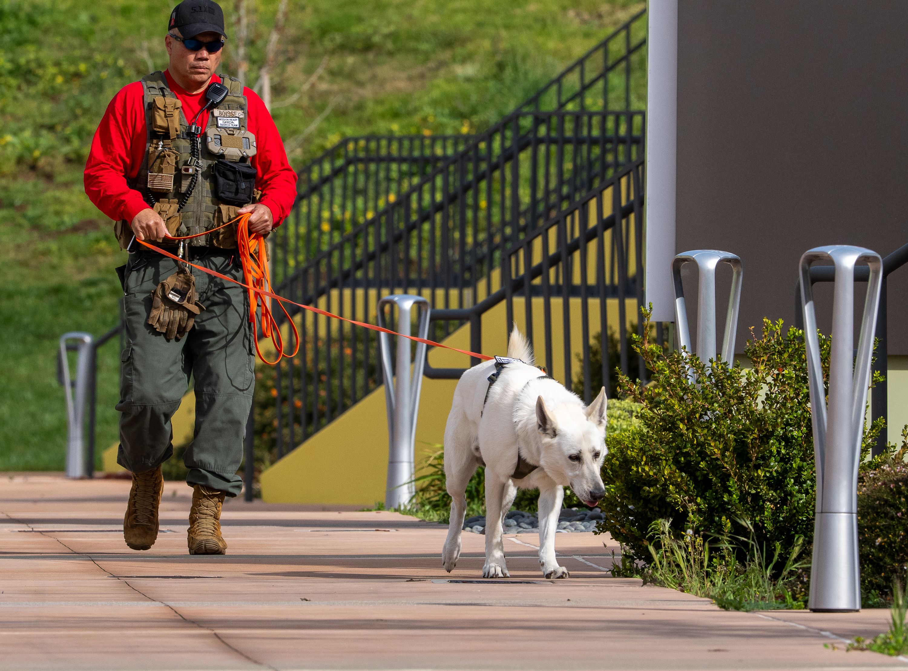 California Rescue Dog Association, Inc.