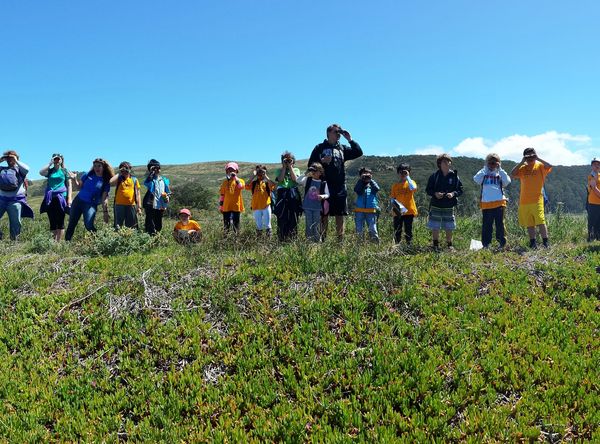 Marine Science Institute