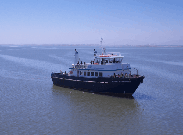 Marine Science Institute