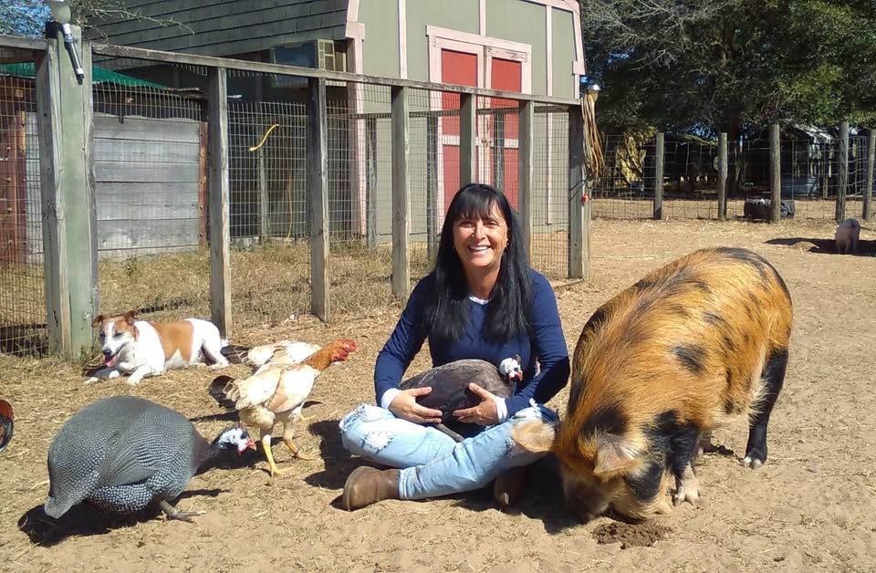 Sugarloaf Mountain Ranch inc.