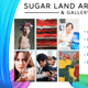 Artists' Alliance of Sugar Land