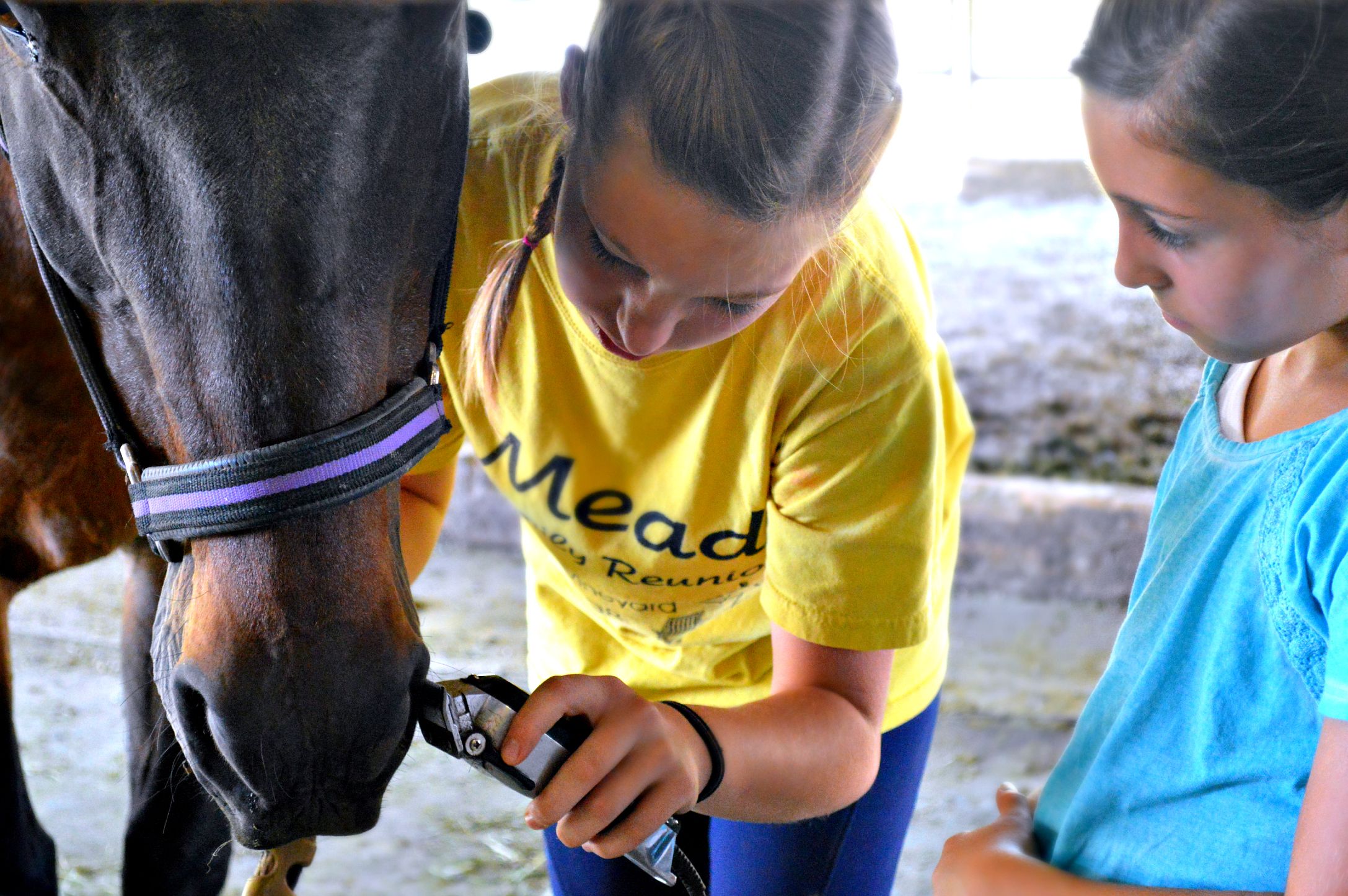 Girard Training Stables