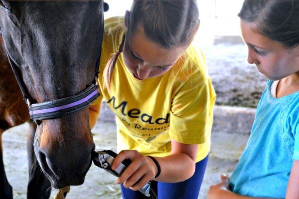 Girard Training Stables