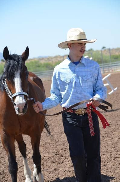 Girard Training Stables
