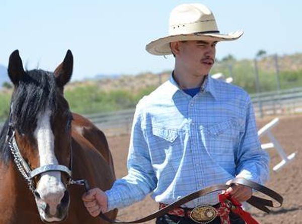 Girard Training Stables