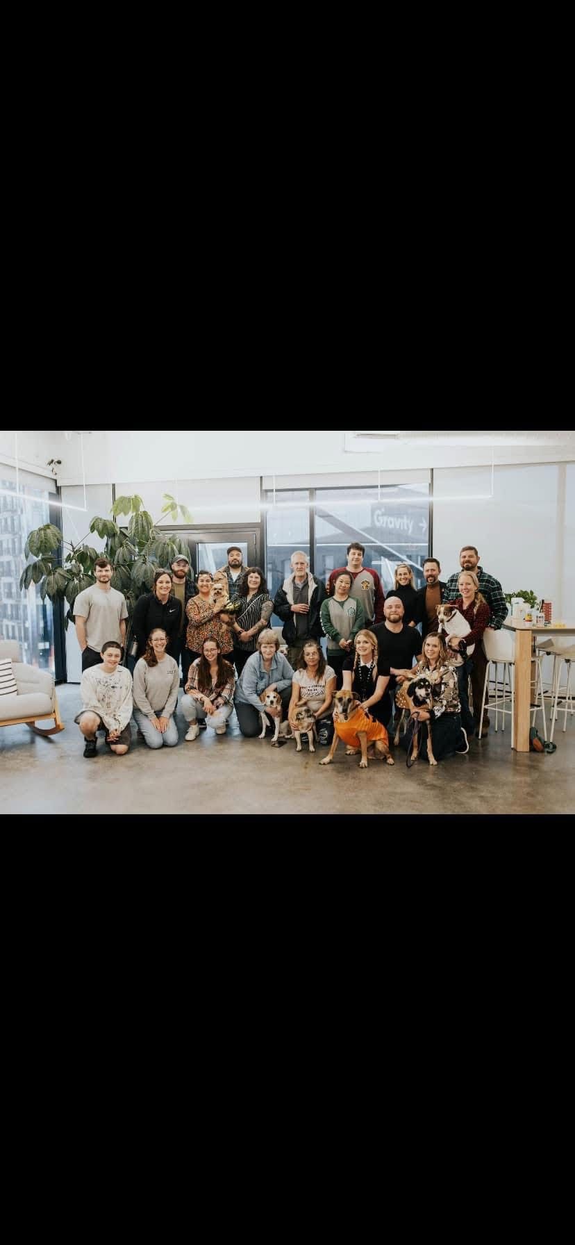 A Brighter Day Animal Rescue League