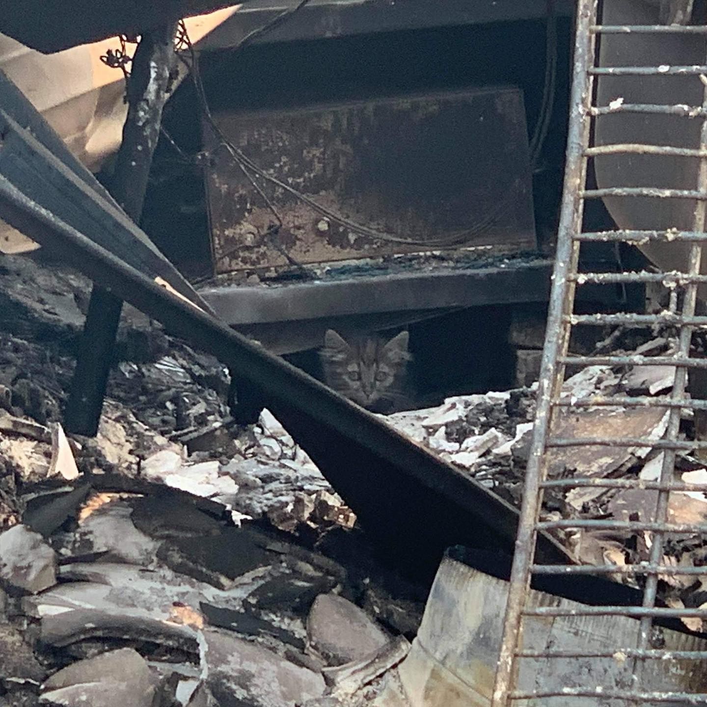 Sonoma Community Animal Response Team