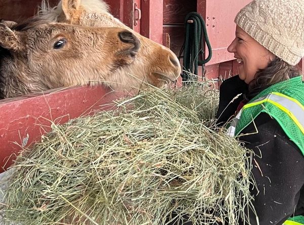 Sonoma Community Animal Response Team