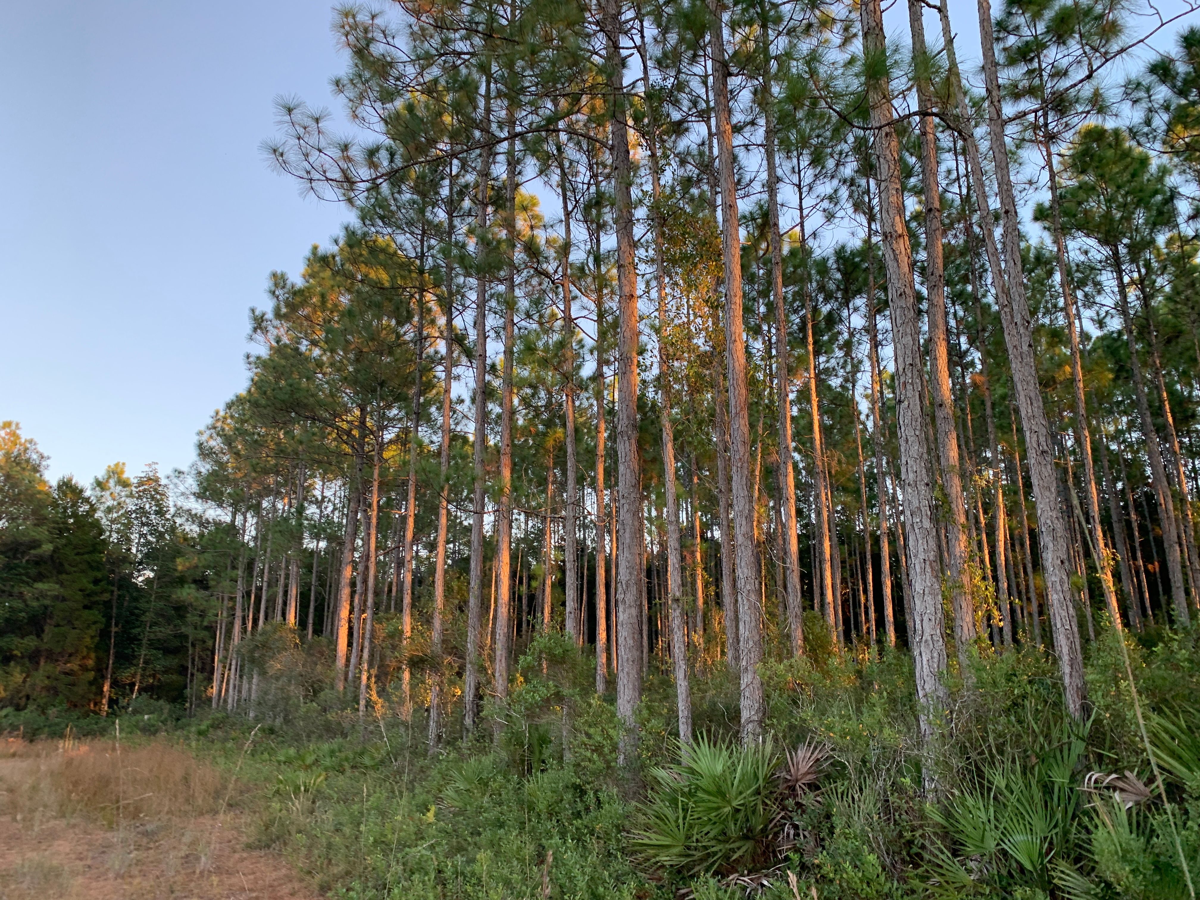 Putnam Land Conservancy