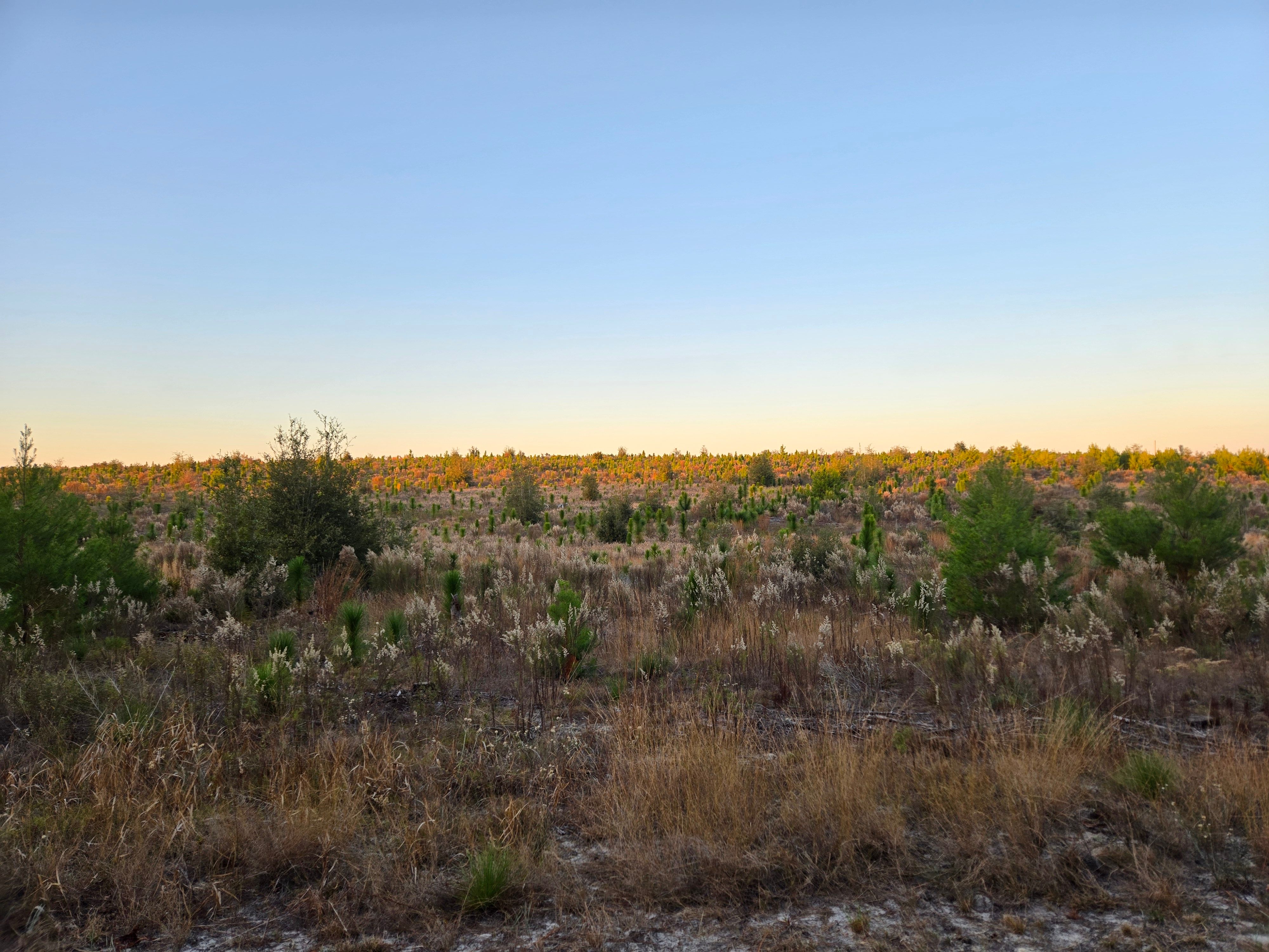 Putnam Land Conservancy