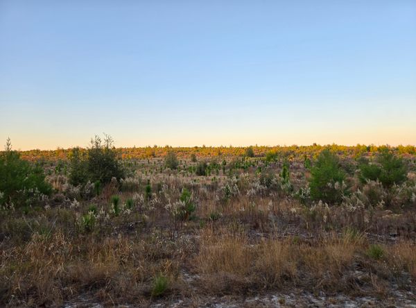 Putnam Land Conservancy