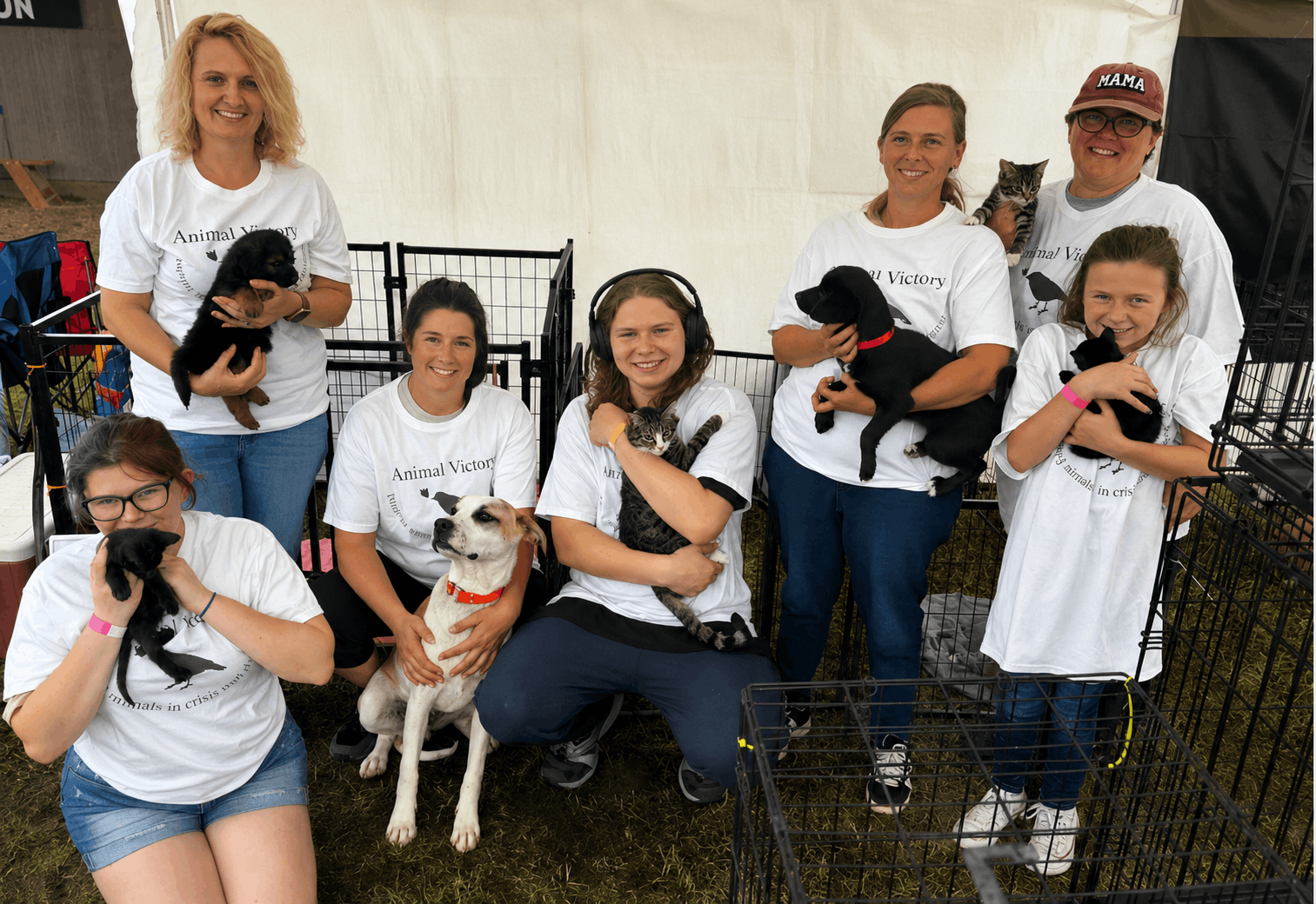 Animal Victory Disaster & Abuse Fund