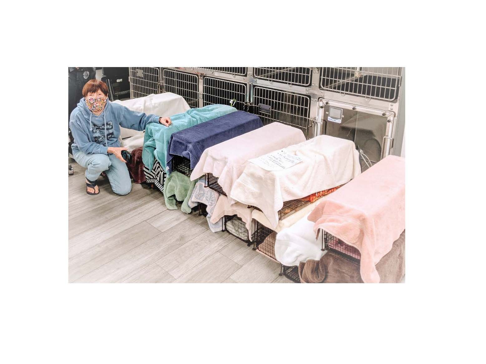 Garden City Community Cats Project