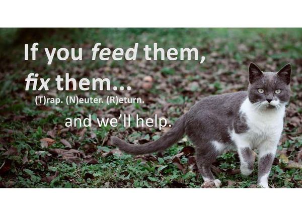 Garden City Community Cats Project