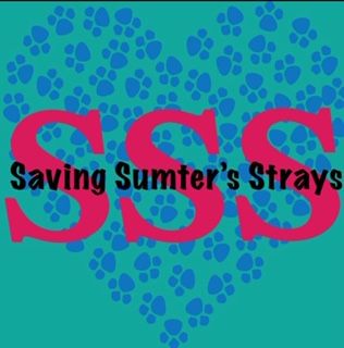 Saving Sumters Strays