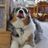 Spay & Neuter Humane Association DBA Bach 'N Rock Music