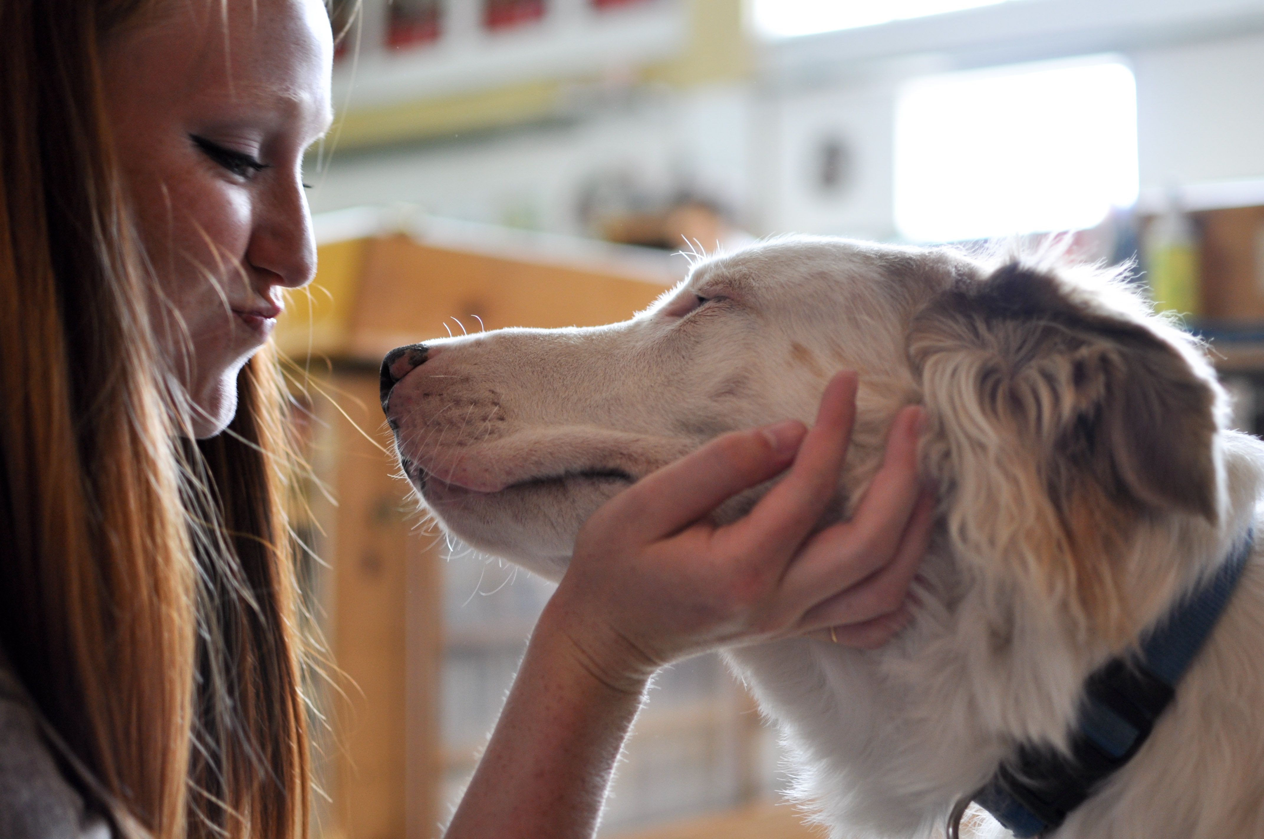 Spay & Neuter Humane Association DBA Bach 'N Rock Music