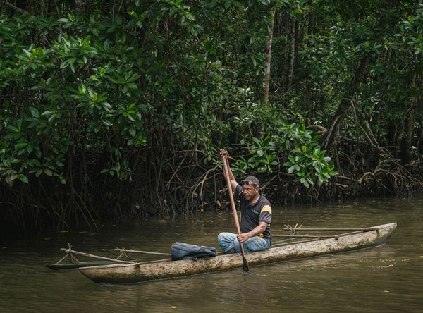 Cool Earth Action USA