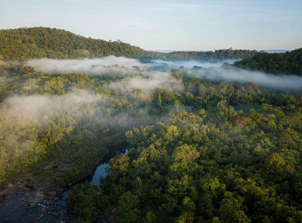 Cool Earth Action USA