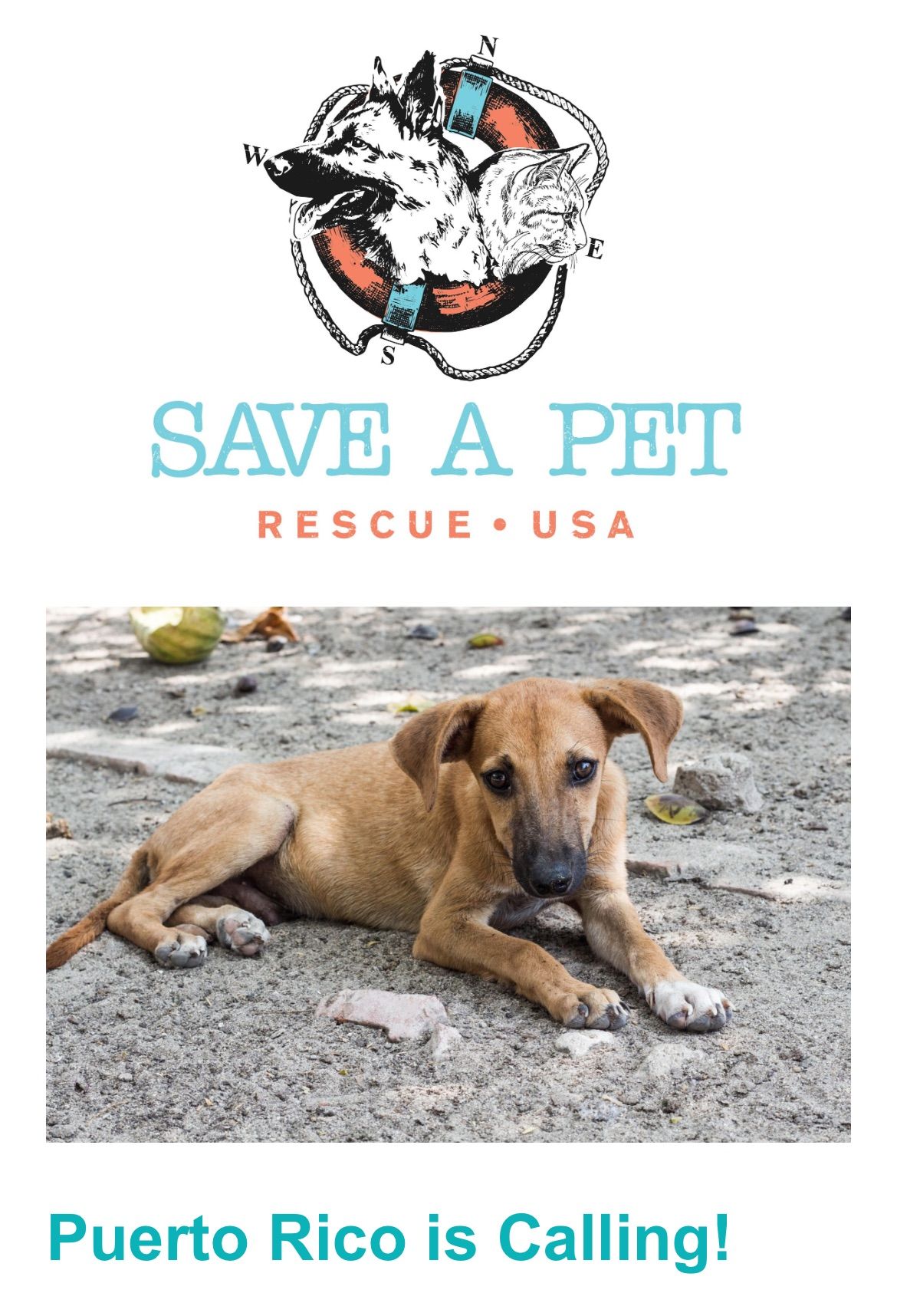 Save-A-Pet Animal Rescue