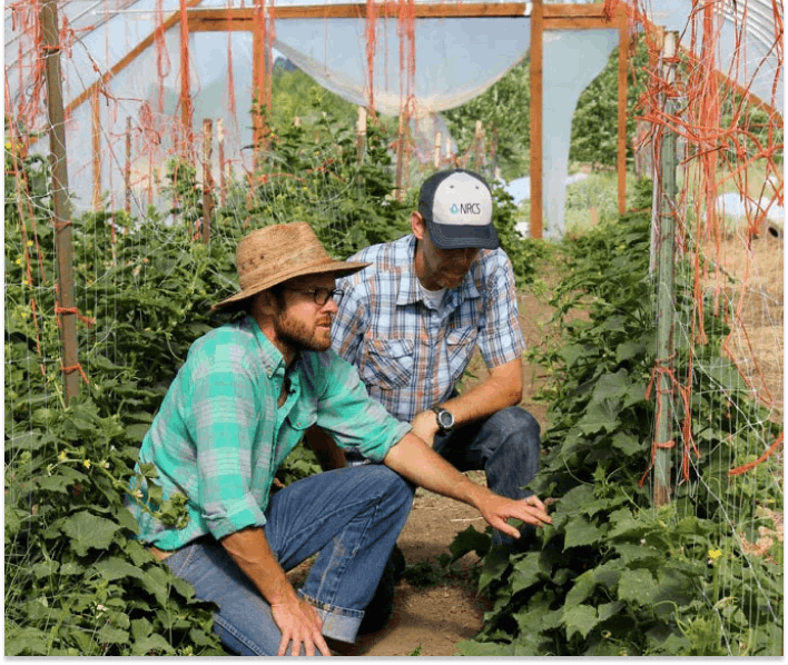 Northeast Organic Farming Association Massachusetts Chapter Inc