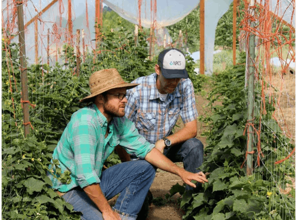 Northeast Organic Farming Association Massachusetts Chapter Inc
