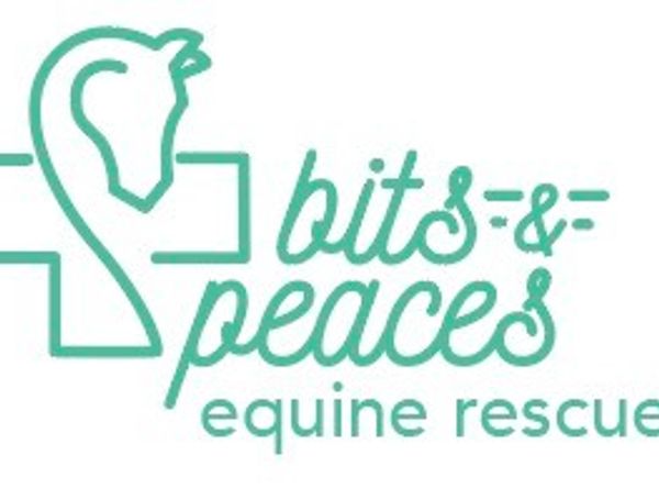 Bits and Peaces Equine Rehabilitation