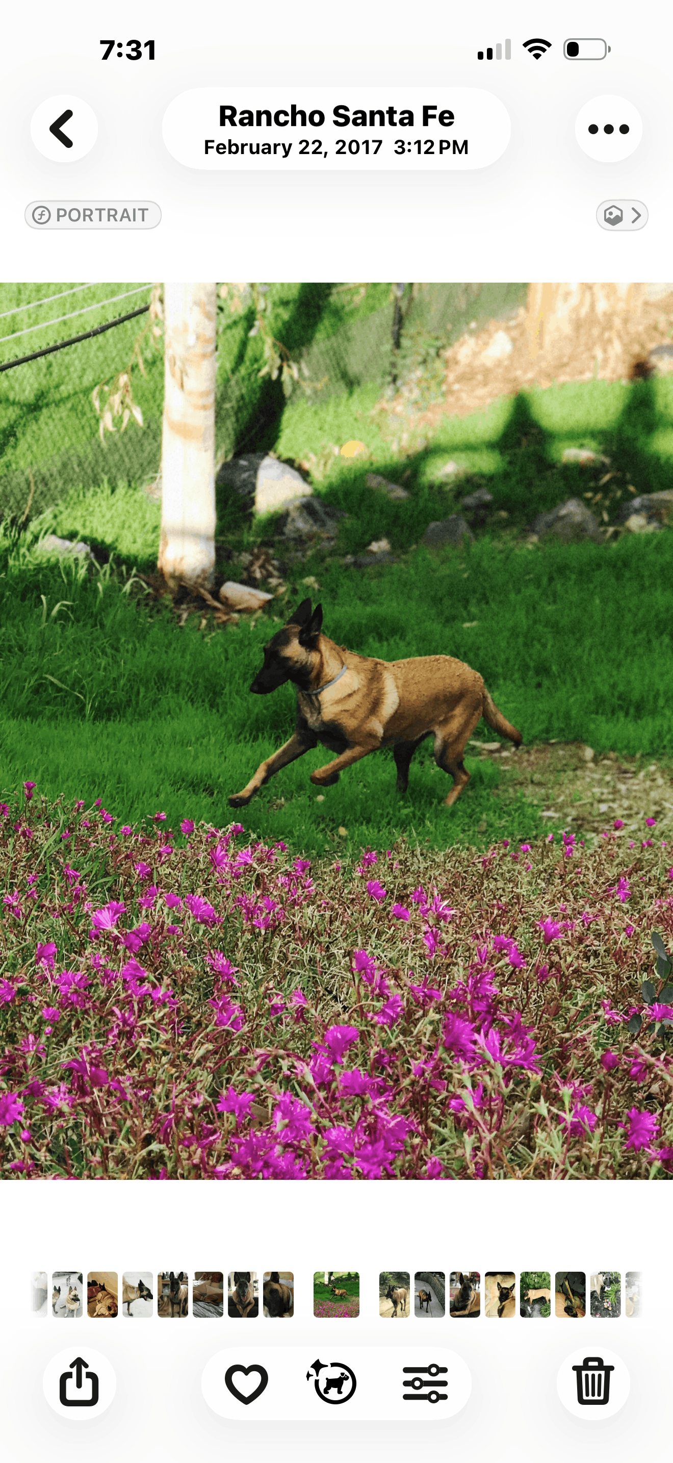 JL Animal Rescue