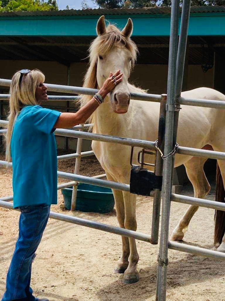 JL Animal Rescue