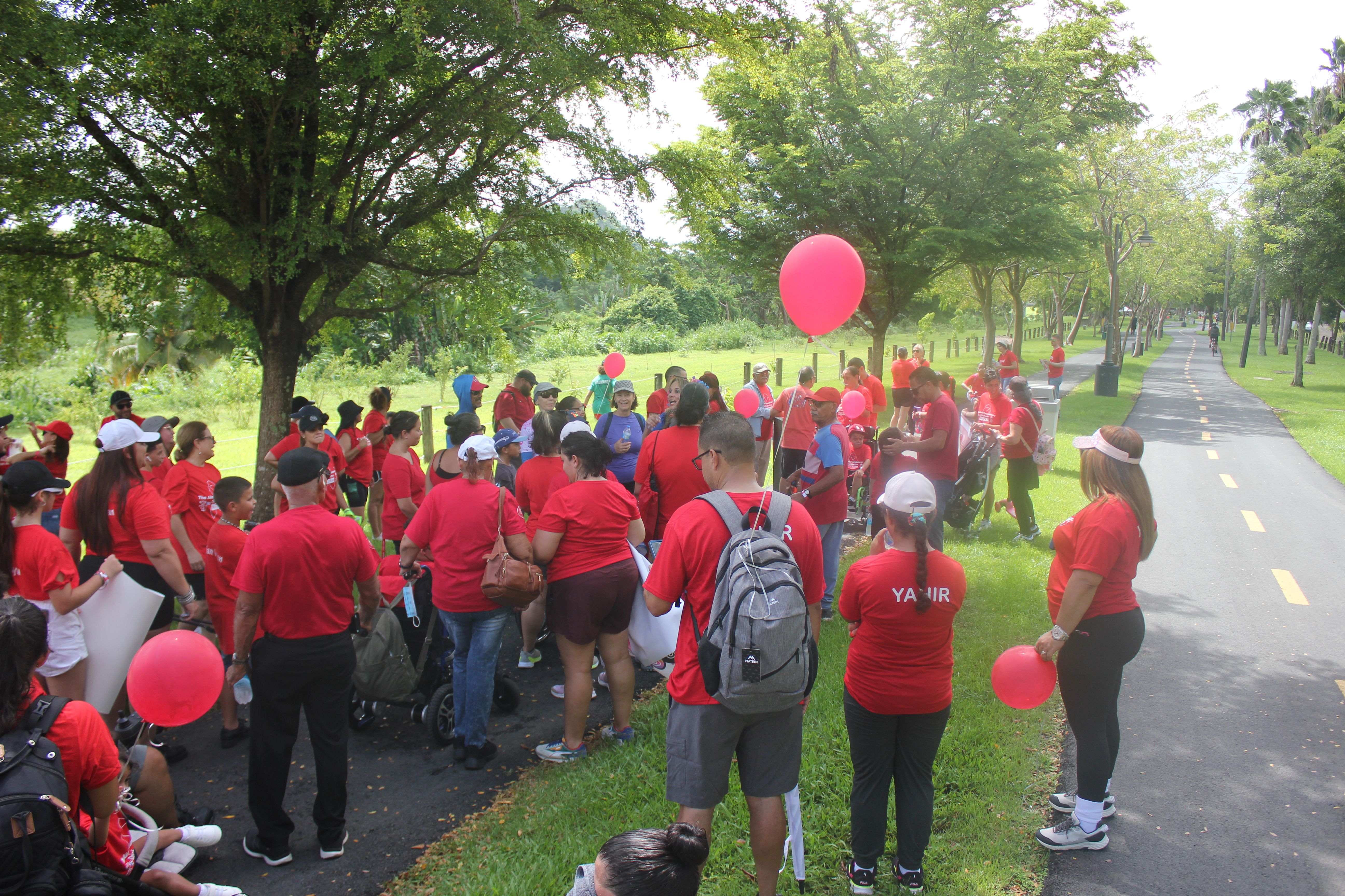 The Akari Foundation