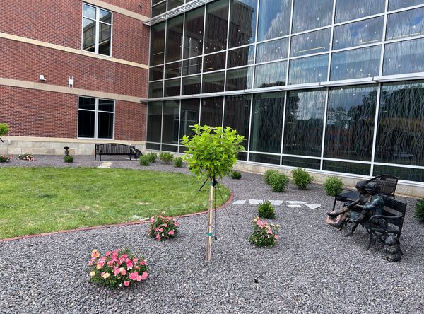 Galesburg Public Library Foundation