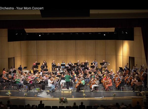 Serenata Chamber Orchestra