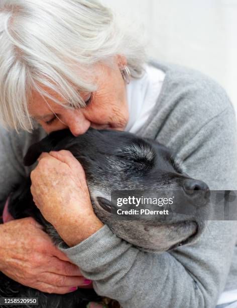 Pet Assistance, Inc.