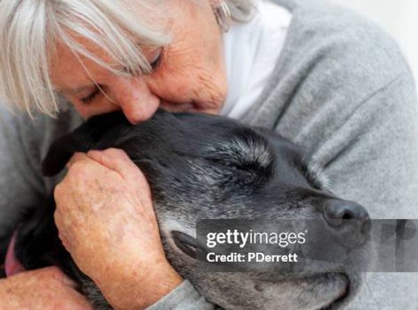 Pet Assistance, Inc.