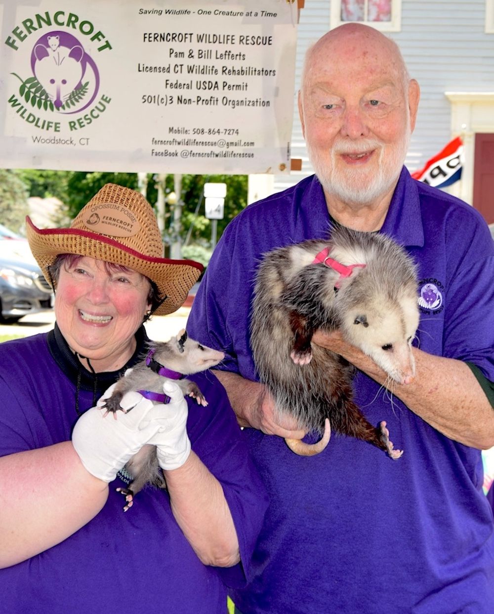 Ferncroft Wildlife Rescue