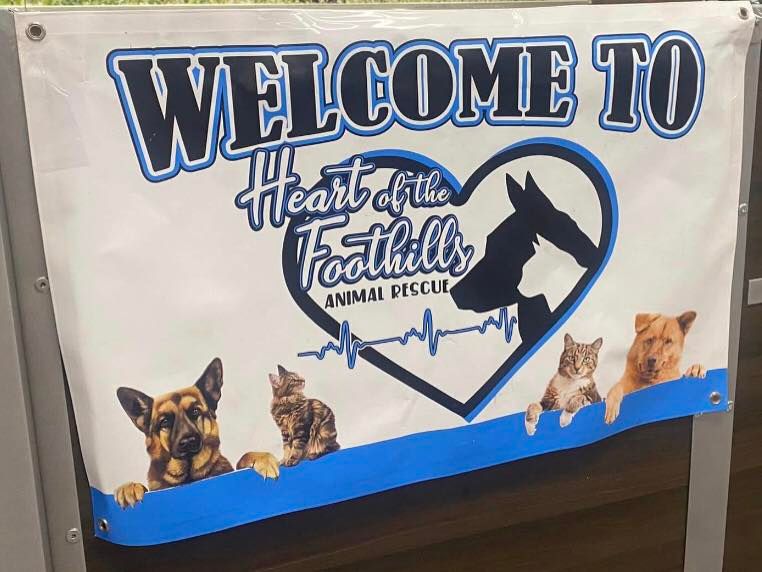Heart of the Foothills Animal Rescue