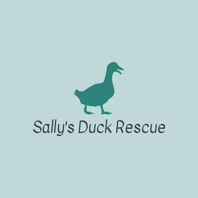 Sallys duck rescue