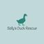 Sallys duck rescue