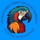 Central Florida parrot sanctuary and parrot rescue