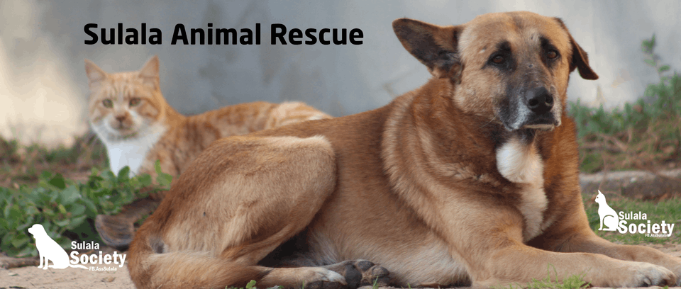 Sulala Animal Rescue