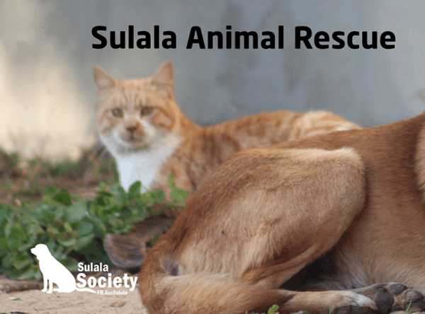 Sulala Animal Rescue