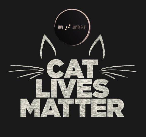 Paws Adoption By BEE