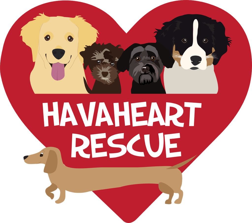 Havaheart Rescue