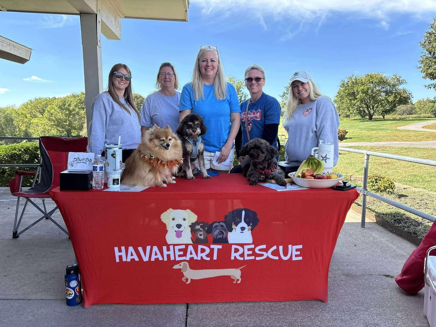 Havaheart Rescue