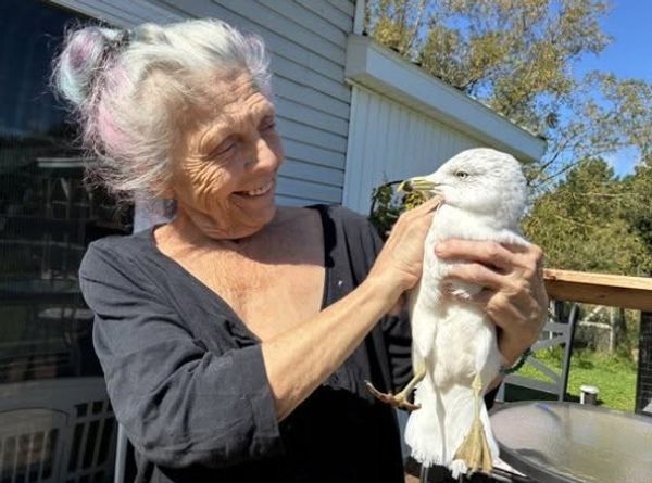 PEI Wildlife Rescue and Rehabilitation Inc.