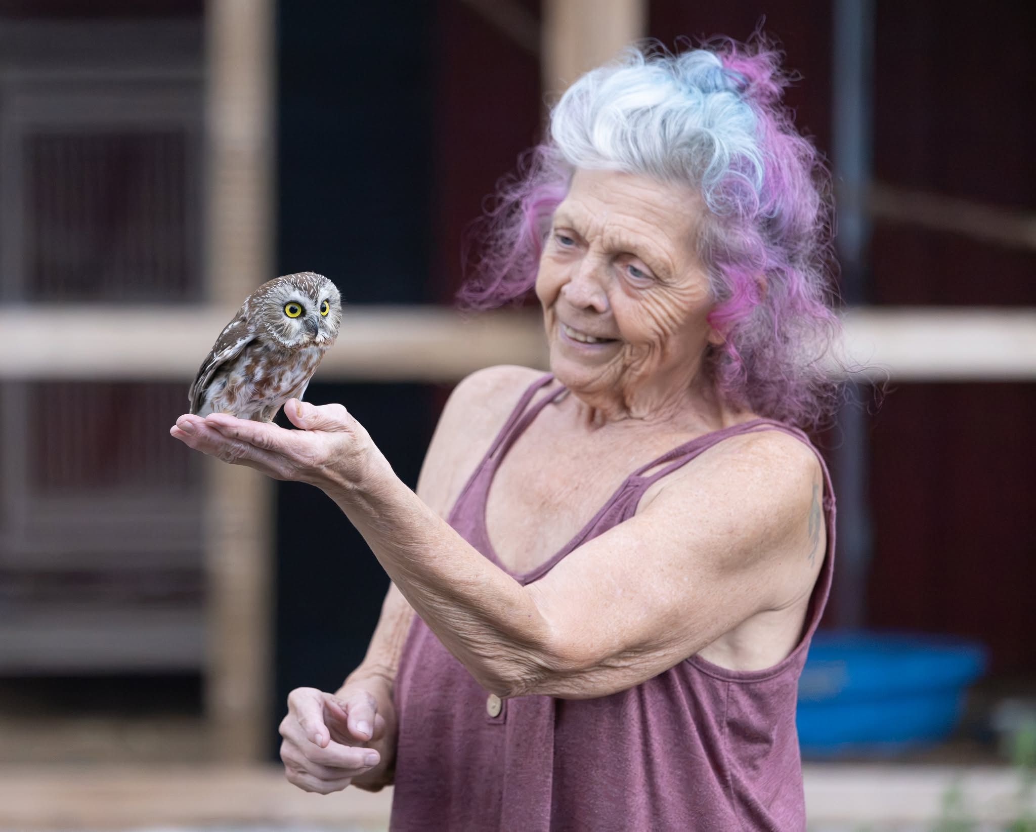 PEI Wildlife Rescue and Rehabilitation Inc.
