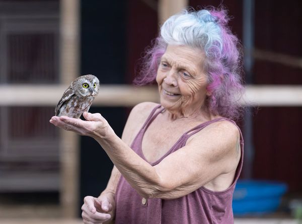 PEI Wildlife Rescue and Rehabilitation Inc.