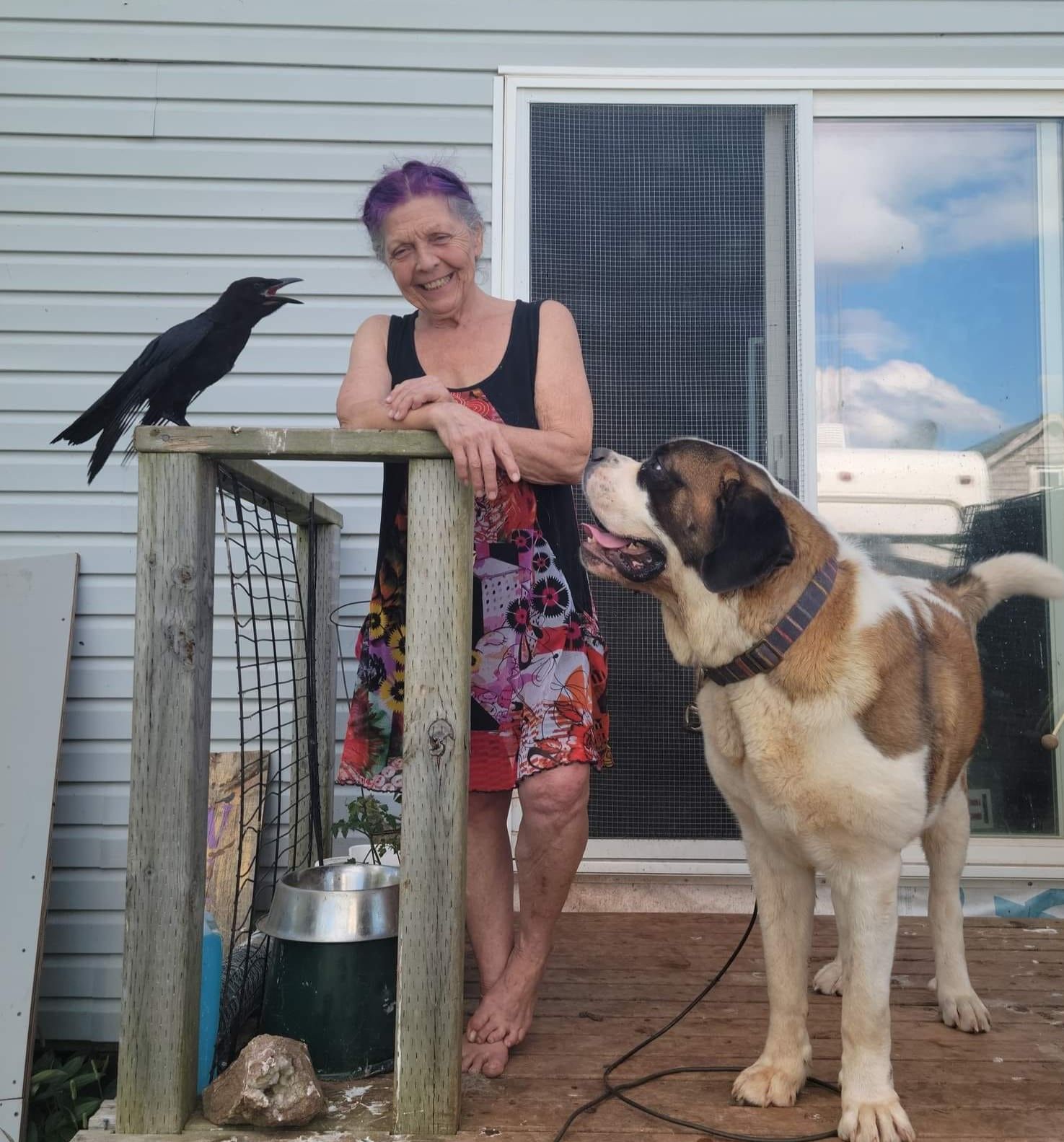 PEI Wildlife Rescue and Rehabilitation Inc.