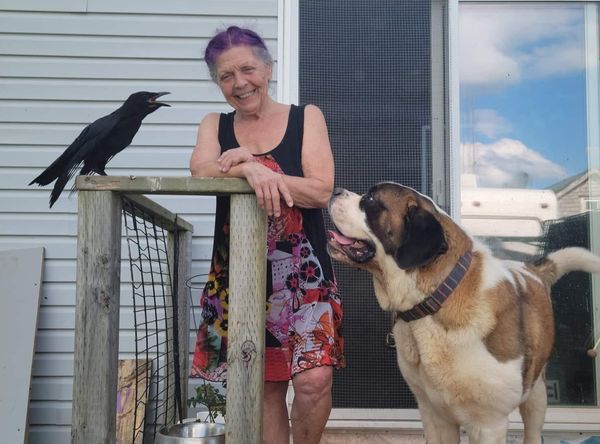 PEI Wildlife Rescue and Rehabilitation Inc.