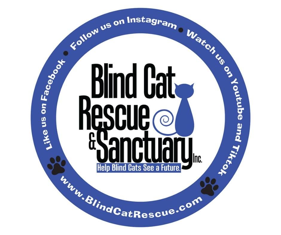 Blind Cat Rescue & Sanctuary